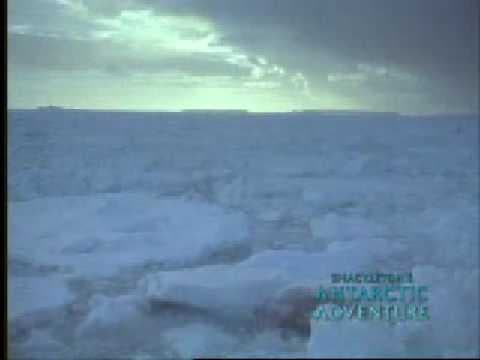 Shackleton's Antarctic Adventure