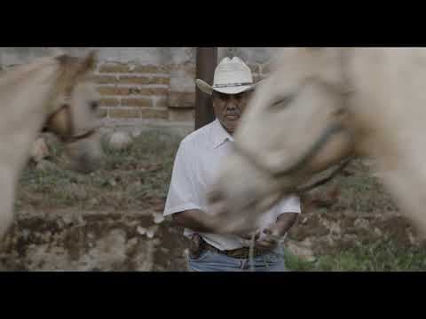 IDFA 2018 | Trailer | Caballerango