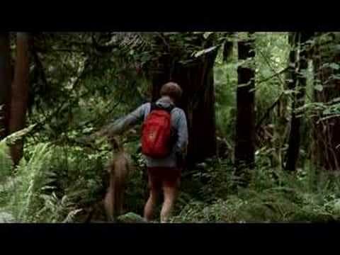 Old Joy Trailer
