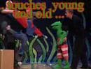 Frog - Theater Terra