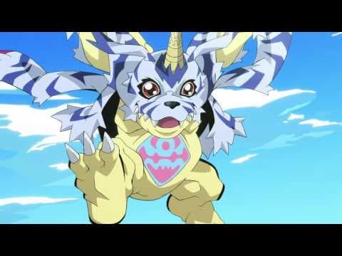 Promo