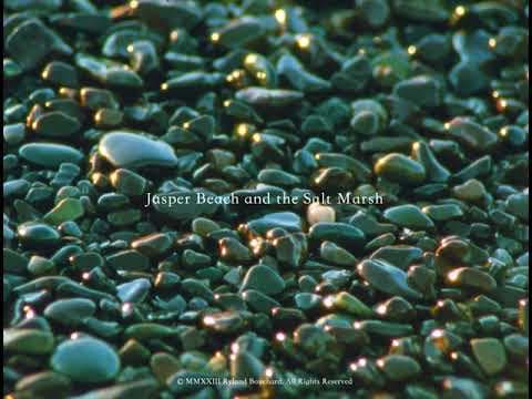 Jasper Beach and the Salt Marsh (16mm, trailer)