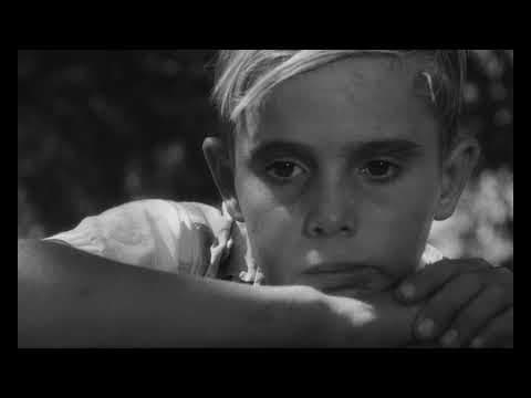 The Olive Trees of Justice – Re-Release Trailer