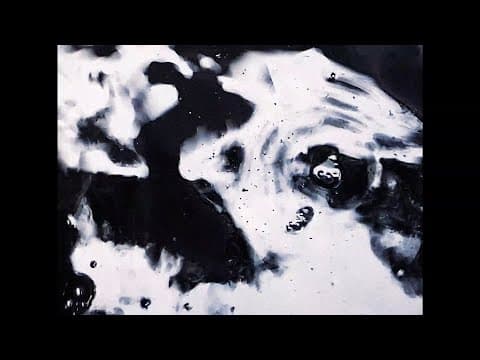 FLUIDS