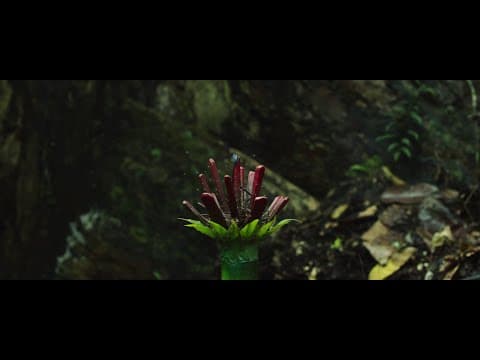 Movie Raya Emas Salako Sacred Treasure Teaser 3 April 2025 in Cinema #movie #entertainment #fyp