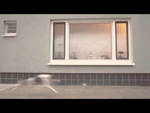 TRAILER Lief Konijn (ned.)