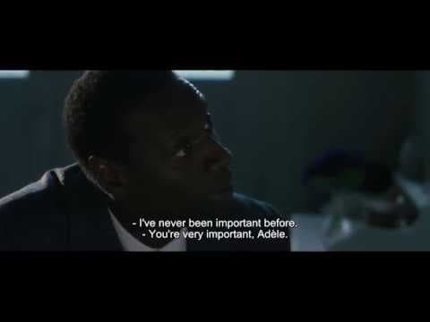 Dr Knock Trailer