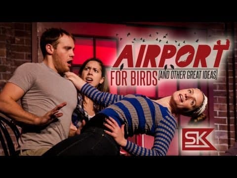 Airport for Birds Preview