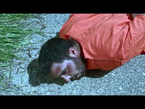 DIFF 2015 -    My father's garden