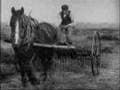 A Day in the Hayfields (1904) | BFI