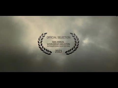 CLEAR SHADOWS (2022) by Fernando Vendrell