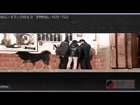 Сарны Гөлөг УСК 2013 02 18 аас өдөр бүр Тэнгис, Өргөө кино театрт