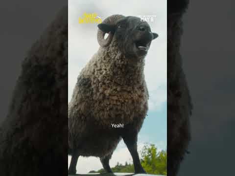 The BAAAAD TV Spot