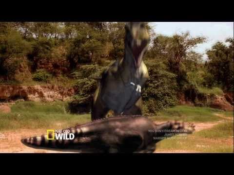 Dino Fiesta