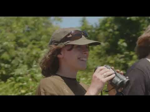 Understanding Myself as an Amphibian Official Trailer