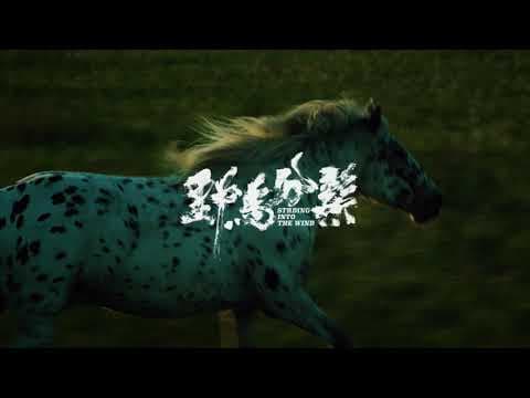 STRIDING INTO THE WIND Trailer| Cannes 2020 Wei Shujun's satire on current state of indie filmmaking