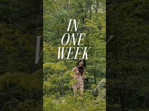 Celebrating one week is only a little obsessive.
