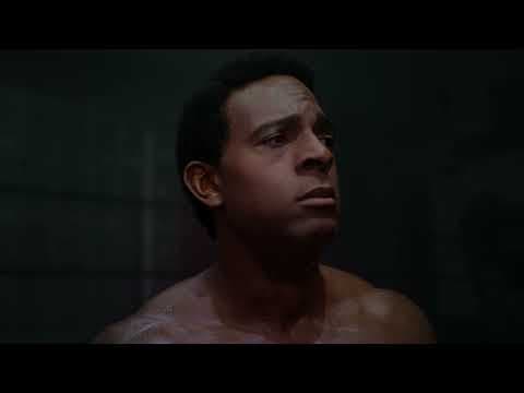 Champion TV Spot