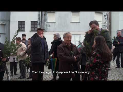 TEMPO COMUM - Gonçalo Magalhães I Doclisboa'18