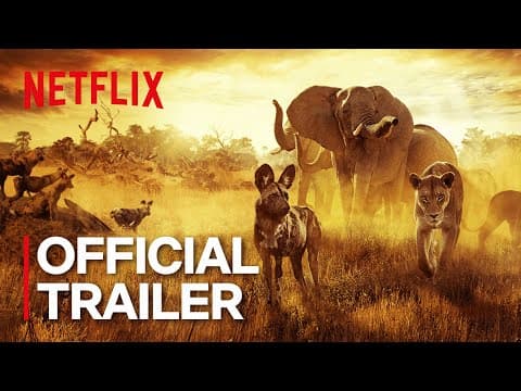 Official Trailer
