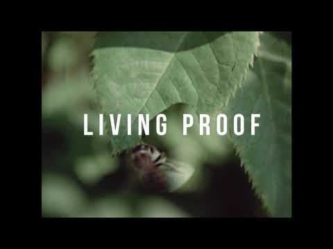 Living Proof - coming soon