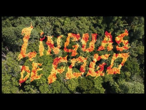 TONGUES OF FIRE teaser