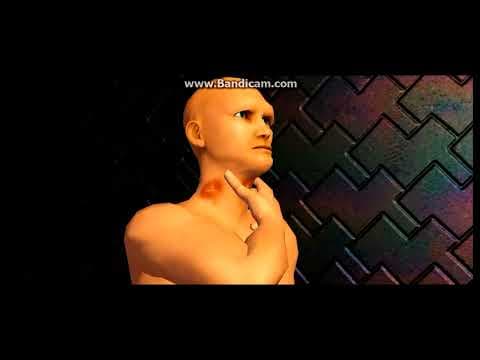 MM4: EXOTIC MADNESS (TRAILER)