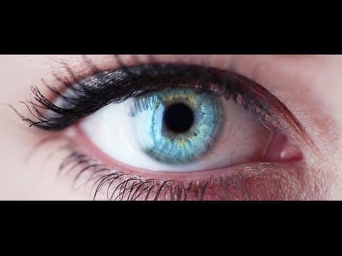 PHI: The Evolution of Consciousness Trailer