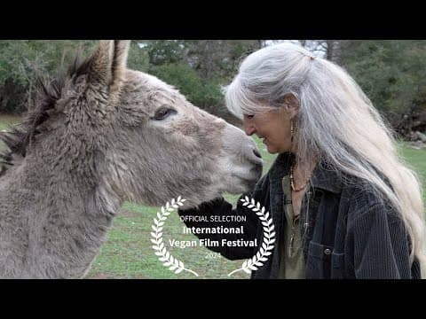 A Quest for Compassion