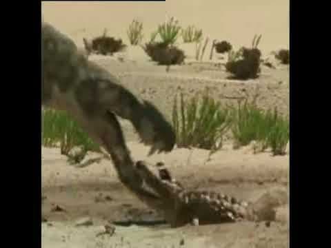 Walking With Monsters Trailer