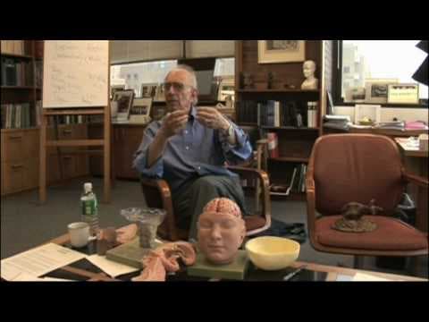 "In Search of Memory" Trailer