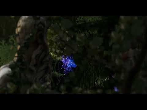 The Fox and The Grapes Official trailer