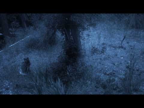 Black Weeds official trailer