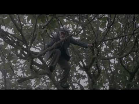 Fig (Trailer)
