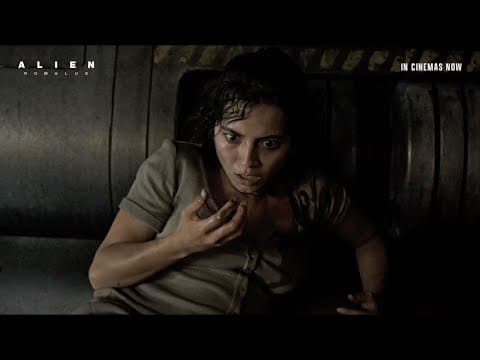 Terror Reveal