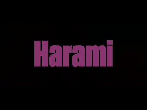 #BIFF2020 New Currents - Harami / 뉴 커런츠 - 하라미