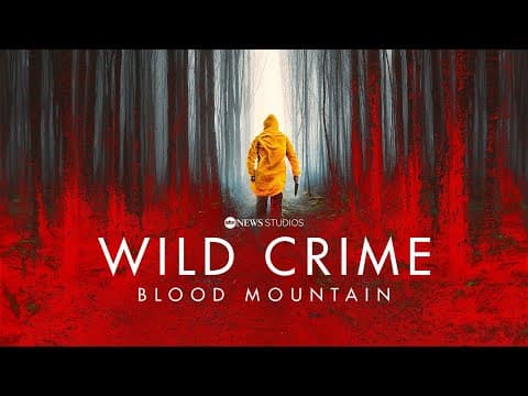 Now Streaming