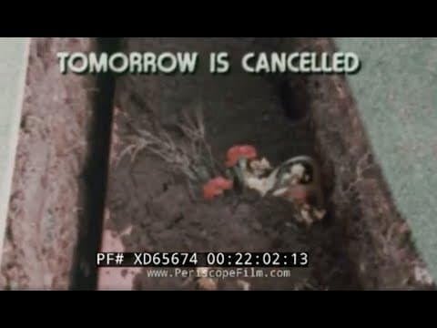 ”TOMORROW IS CANCELLED” 1970s ANTI-ALCOHOL & DRUG USE EDUCATIONAL FILM   XD65674