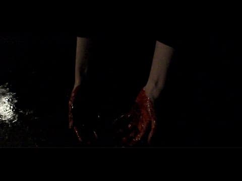 Transfiguration Trailer