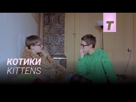 Котики / Kittens