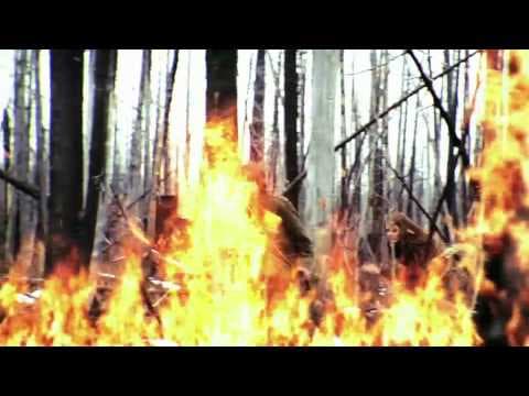 The Wylds Trailer