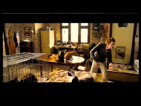 kattenkwaad - nova van dijk trailer