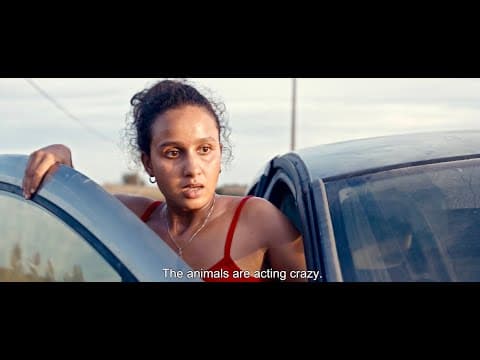 Animale (2024) - Trailer (English Subs)