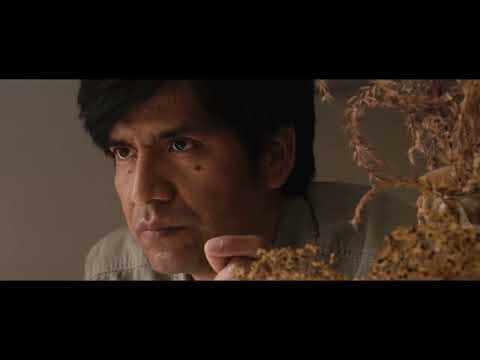 Itu Ninu (Trailer) | AzIFF 2024