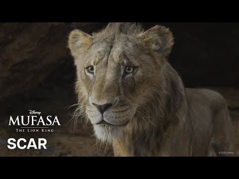 Scar