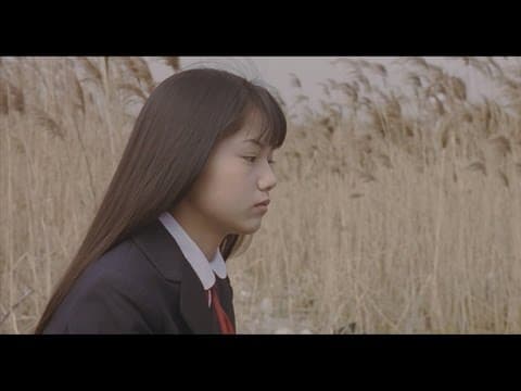 Bande-annonce: Harmful Insect - 害虫 (2001) de Akihiko Shiota