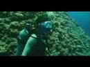Trailer of "Missing" 2008