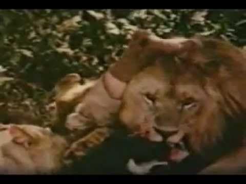 Trailer de Holocausto Cannabis (2001)