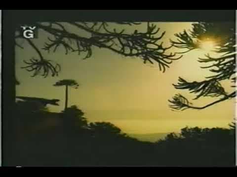 Walking With Dinosaurs 2000 Trailer