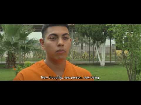 A Mindful Choice OFFICIAL TRAILER